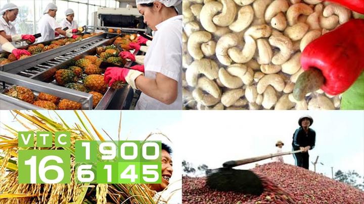 Hotspot Matrix: Cơ hội vàng cho người nội trợ hiện đại