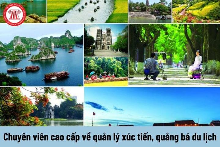 Tầm Nhìn Hotspot Matrix: Định Hình Tương Lai Video Ngắn