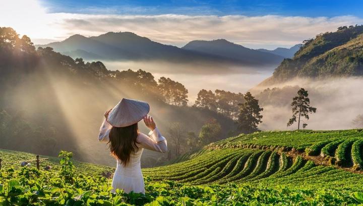 Loài cá kỳ lạ nhất châu Phi: - Cảm hứng video marketing từ Hotspot Matrix