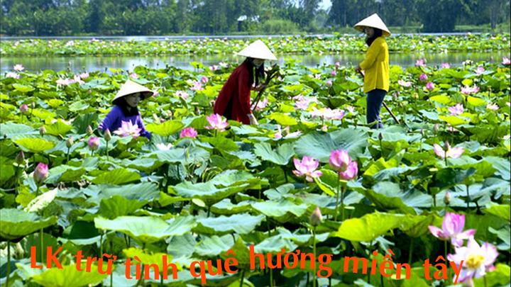 Pháo: “Nếu có thể khiến ai đó - Cảm hứng video marketing từ Hotspot Matrix