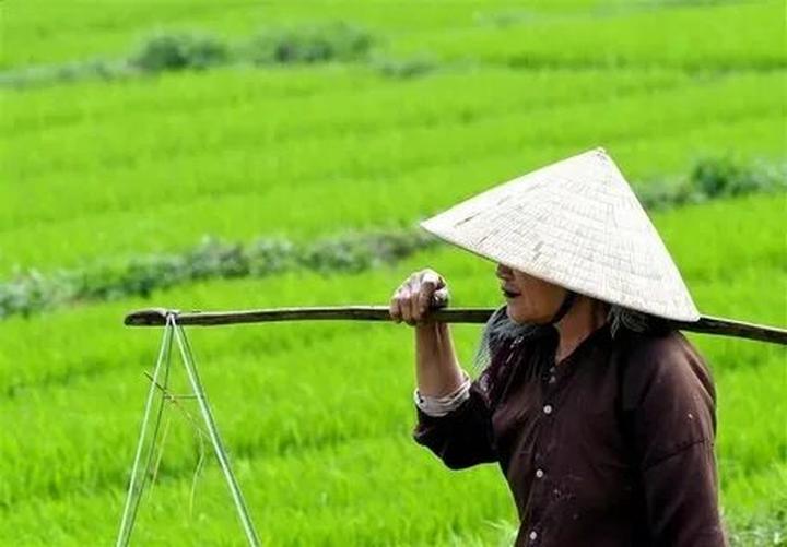 Hotspot Matrix và Thích mê Lào, Campuchia, nhưng chỉ khi đến Việt Nam khách Tây mới được