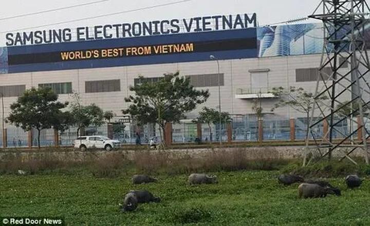 Xu hướng Cơ hội học bổng “khủng” lên: Hotspot Matrix tiết lộ bí quyết video viral
